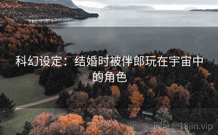 科幻设定：结婚时被伴郎玩在宇宙中的角色